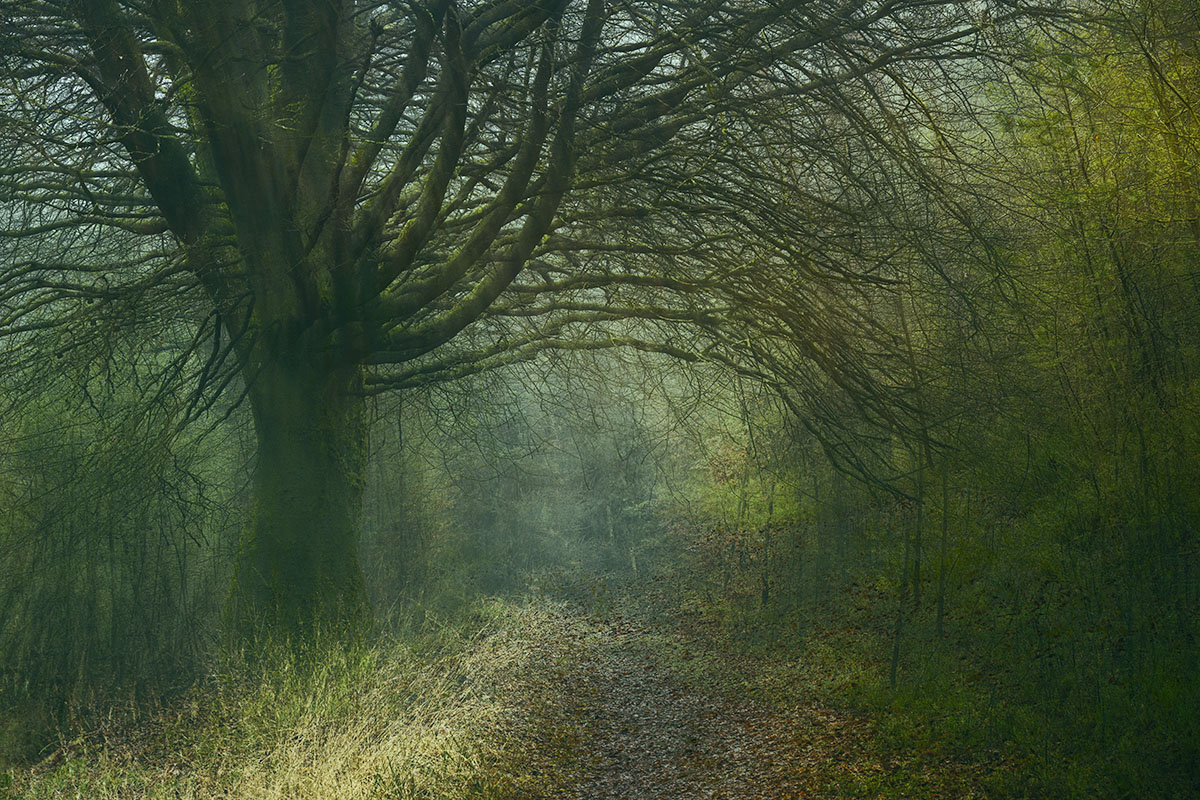 Cursus fotografie voor gevorderden