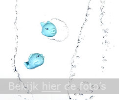 Splashfotografie verzamelpagina