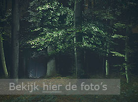 Lightpainting bos in Luxemburg