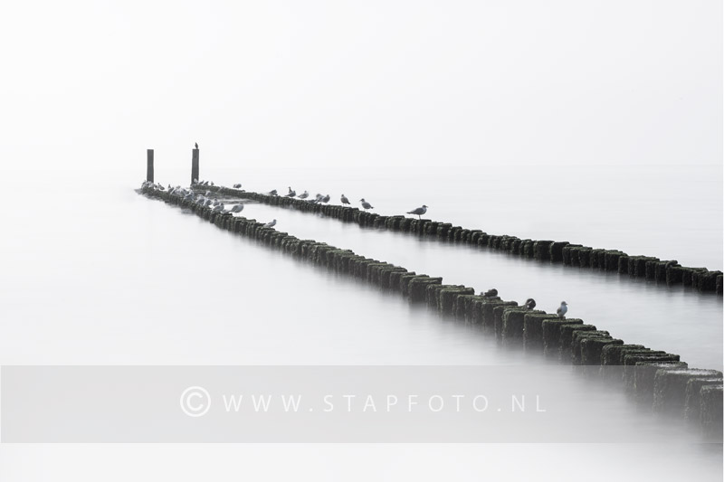 Workshop kustfotografie rechts